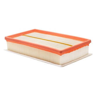 Baldwin Filters® - Radial Seal Air Filter
