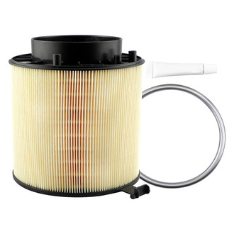 Baldwin Filters® - Radial Seal Air Filter