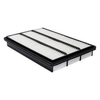 Baldwin Filters® - Radial Seal Air Filter