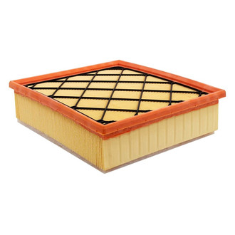 Baldwin Filters® - Radial Seal Air Filter