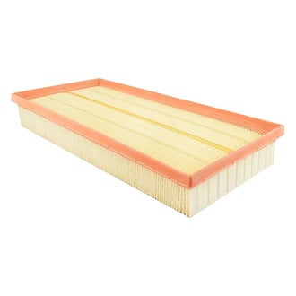 Baldwin Filters® - Radial Seal Air Filter