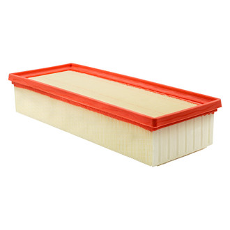 Baldwin Filters® - Radial Seal Air Filter