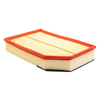 Baldwin Filters® - Radial Seal Air Filter
