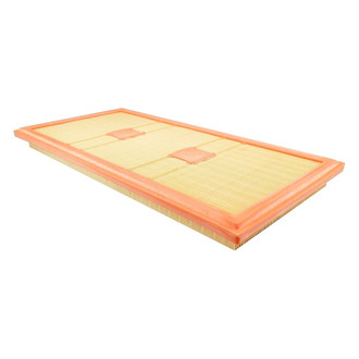 Baldwin Filters® - Air Filter Element