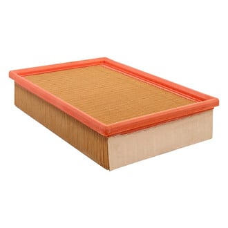 Baldwin Filters® - Air Filter Element
