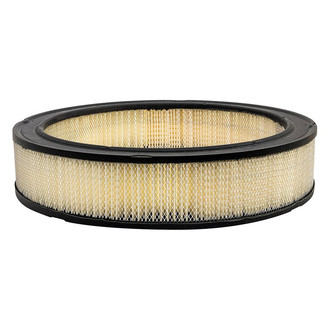 Baldwin Filters® - Radial Seal Air Filter