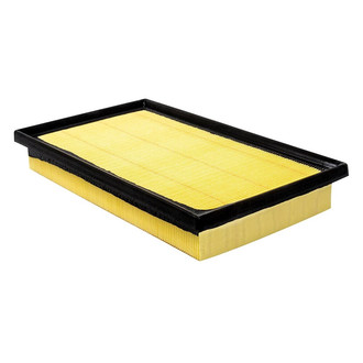 Baldwin Filters® - Radial Seal Air Filter