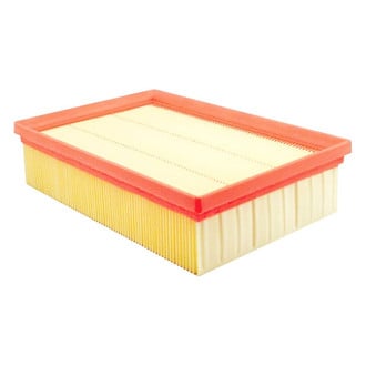 Baldwin Filters® - Radial Seal Air Filter