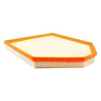 Baldwin Filters® - Air Filter Element