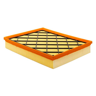 Baldwin Filters® - Radial Seal Air Filter