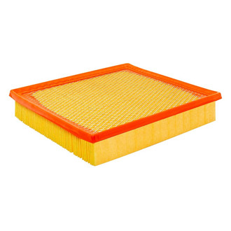 Baldwin Filters® - Radial Seal Air Filter