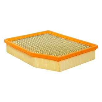 Baldwin Filters® - Radial Seal Air Filter