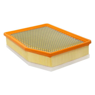 Baldwin Filters® - Radial Seal Air Filter