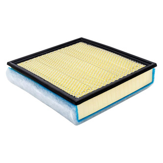 Baldwin Filters® - Radial Seal Air Filter