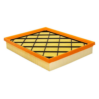 Baldwin Filters® - Air Filter Element