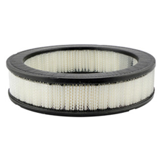 Baldwin Filters® - Air Filter Element