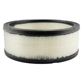 Baldwin Filters® - Air Filter Element