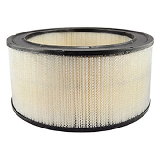 Baldwin Filters® - Air Filter Element