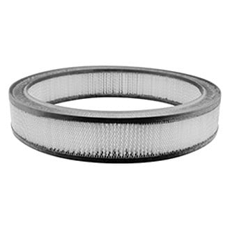 Baldwin Filters® - Air Filter Element