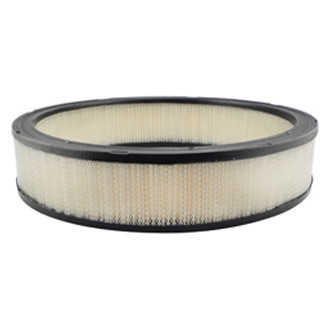 Baldwin Filters® - Air Filter Element