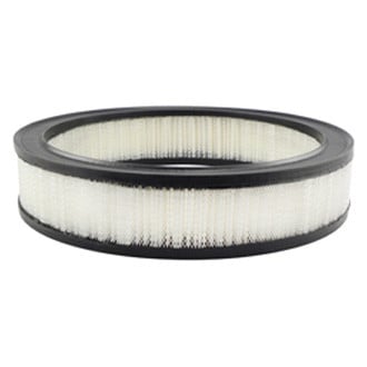Baldwin Filters® - Air Filter Element