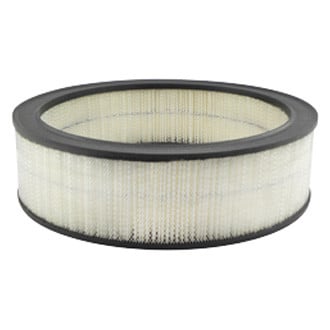 Baldwin Filters® - Air Filter Element