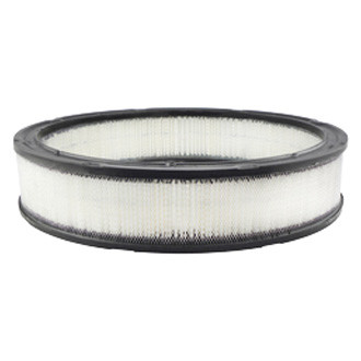 Baldwin Filters® - Air Filter Element