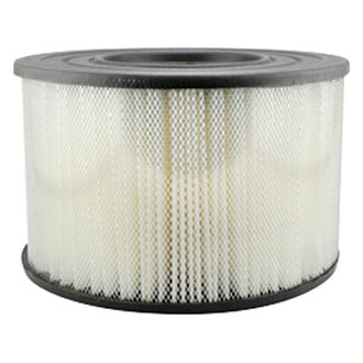 Baldwin Filters® - Air Filter Element