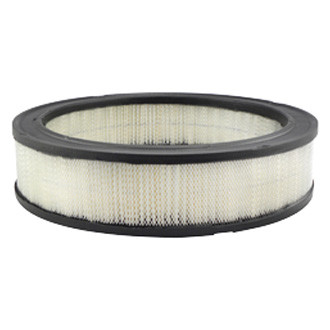 Baldwin Filters® - Air Filter Element