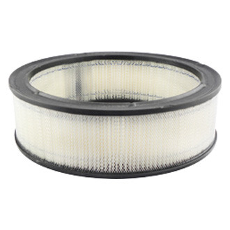 Baldwin Filters® - Air Filter Element