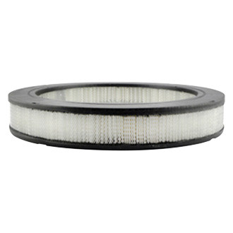 Baldwin Filters® - Air Filter Element