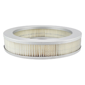 Baldwin Filters® - Air Filter Element