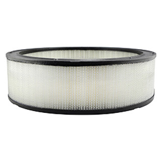 Baldwin Filters® - Air Filter Element