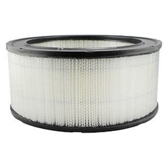 Baldwin Filters® - Air Filter Element