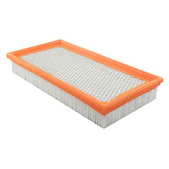 Baldwin Filters® - Air Filter Element