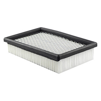 Baldwin Filters® - Air Filter Element