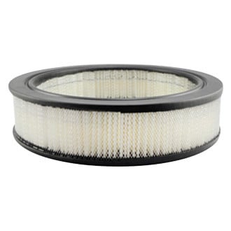 Baldwin Filters® - Air Filter Element