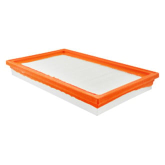 Baldwin Filters® - Air Filter Element