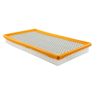 Baldwin Filters® - Air Filter Element