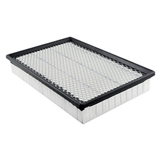 Baldwin Filters® - Air Filter Element