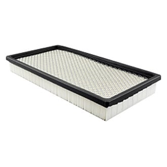 Baldwin Filters® - Air Filter Element