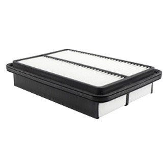 Baldwin Filters® - Air Filter Element