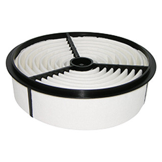 Baldwin Filters® - Air Filter Element