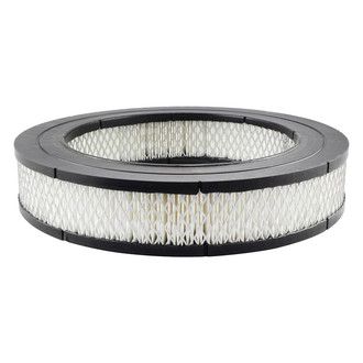 Baldwin Filters® - Radial Seal Air Filter