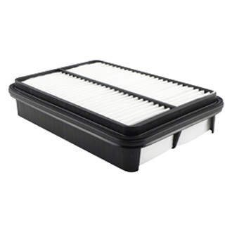 Baldwin Filters® - Air Filter Element