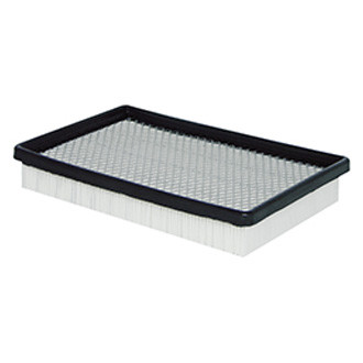 Baldwin Filters® - Air Filter Element