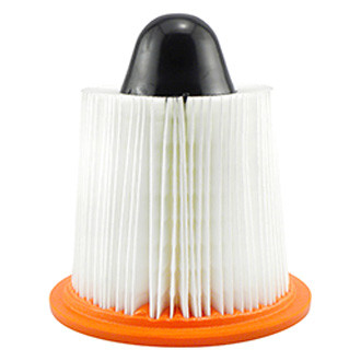 Baldwin Filters® - Air Filter Element