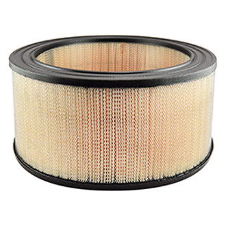 Baldwin Filters® - Air Filter Element