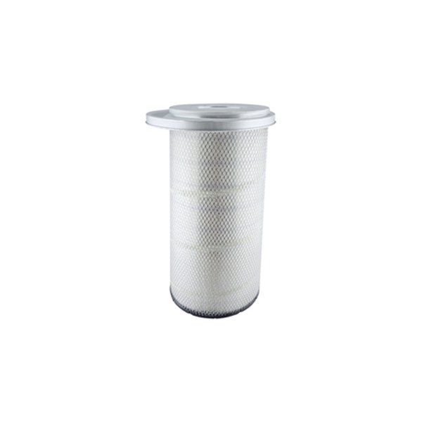 Baldwin Filters® - Air Filter Element with Lid