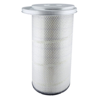 Baldwin Filters® - Air Filter Element with Lid